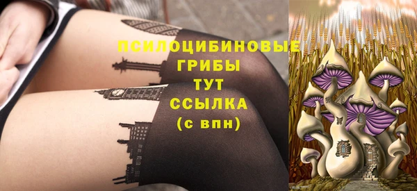 PSILOCYBIN Верея