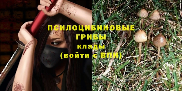 эйфоретик Верхний Тагил