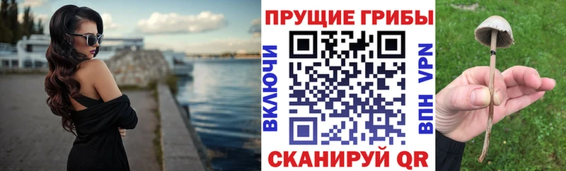 Галлюциногенные грибы Magic Shrooms Купить закладки Верхний Уфалей