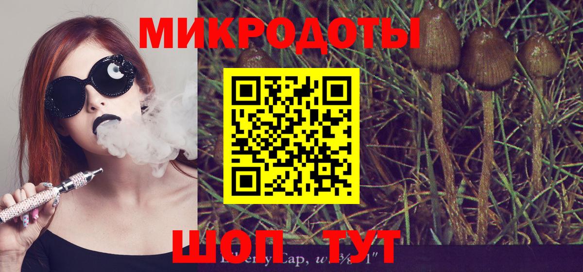 Галлюциногенные грибы Cubensis  Верхний Уфалей  Псилоцибиновые грибы Cubensis 